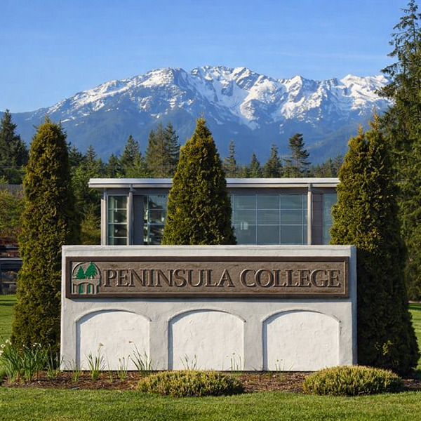 A small logo depicting the news story MASSIVE  CYBERATTACK HITS PENINSULA COLLEGE 